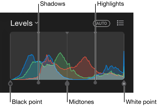 Level controls along the RGB histogram, including (from left to right) black point, shadows, midtones, highlights, and white point