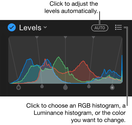 Level controls and auto correct button at top right