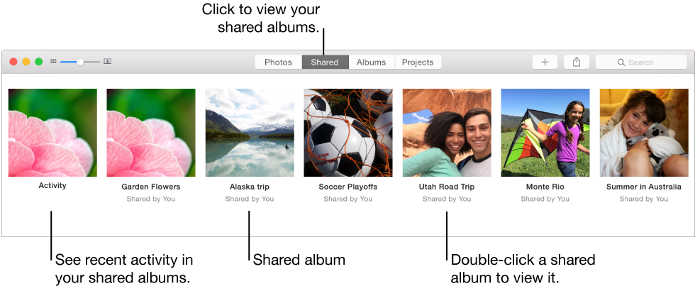 The Shared pane of the Photos window, showing shared albums