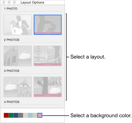 Layout Options window for a card