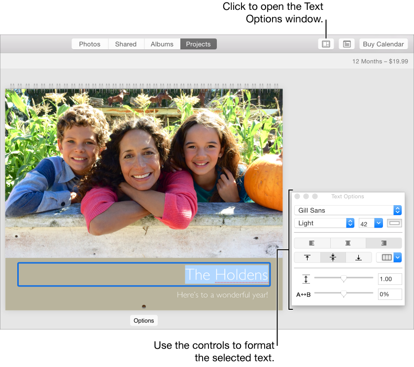 A photo with text selected under it and the Text Options window on the right