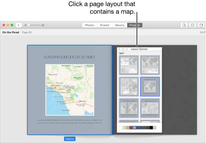 Layout Options window showing map layouts
