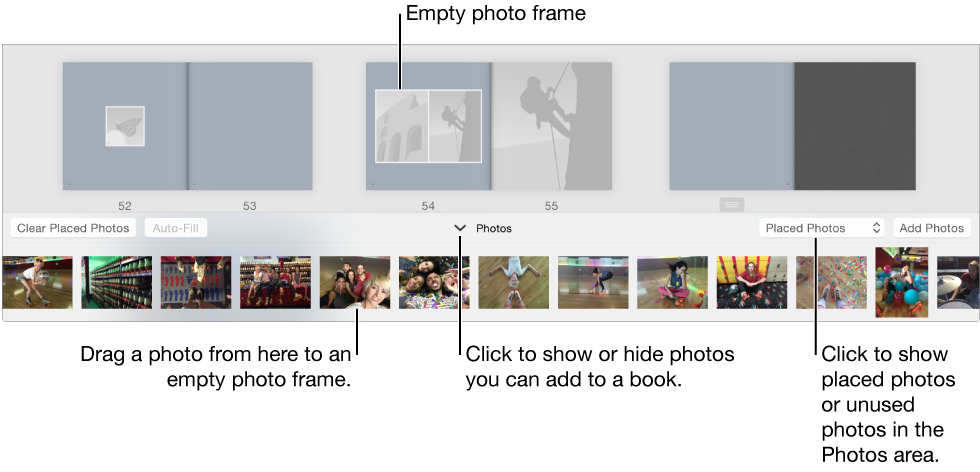 Photos window showing pages of a book with Photos area at the bottom