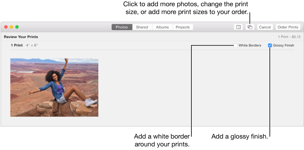 Window showing Review Prints options