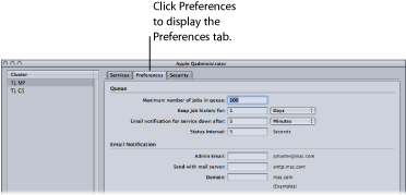 Figure. Preferences tab in the Apple Qadministrator window.