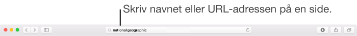 Smart søgefelt i Safari, hvor du kan skrive en sides navn eller URL-adresse