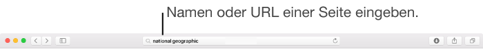 Intelligentes Suchfeld von Safari, in dem du Name oder URL einer Seite eingeben kannst