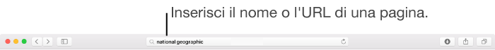 Il campo di ricerca smart di Safari, in cui puoi inserire il nome o l'URL di una pagina