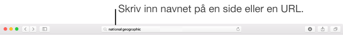 Det smarte søkefeltet i Safari, der du kan skrive inn en sides navn eller URL