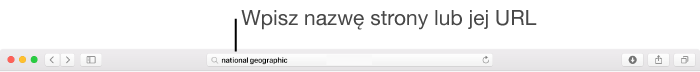 Inteligentne pole wyszukiwania w Safari, gdzie możesz wpisać nazwę strony lub URL