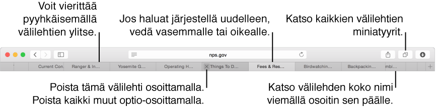 Safari-ikkuna, jossa on välilehtiä