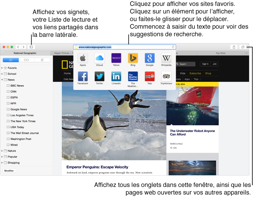 Fenêtre Safari affichant un exemple de page web et icônes de favoris présentées dans une liste contextuelle sous le champ d’adresse et de recherche. Cliquez sur le bouton Barre latérale pour afficher ou masquer les signets, la liste de lecture ou la barre latérale des liens partagés. Cliquez sur le champ d’adresse et de recherche lorsque vous consultez une page web afin d’afficher les icônes de vos sites favoris. Cliquez sur une icône pour afficher le site ou faites glisser les icônes pour les réorganiser. Commencez à taper dans le champ d’adresse et de recherche pour afficher des suggestions de recherche.
