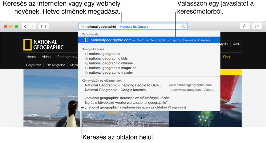 Safari cím- és keresésmező, alatta a keresési eredmények listájával