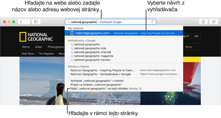 Pole adresy a vyhľadávania v Safari so zoznamom výsledkov vyhľadávania uvedeným pod ním