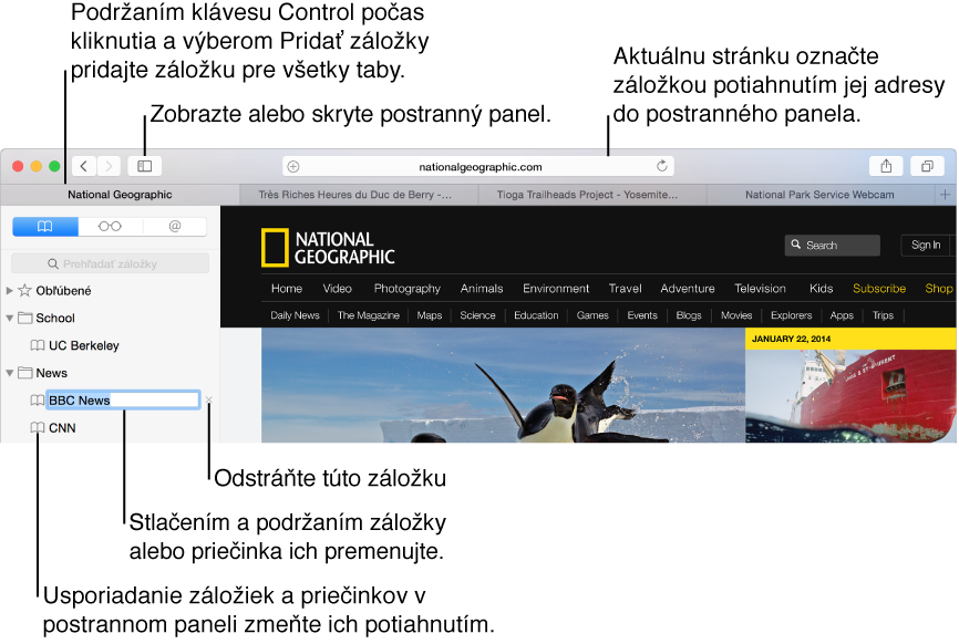 Okno Safari so záložkami v postrannom paneli s jednou záložkou vybranou na úpravu