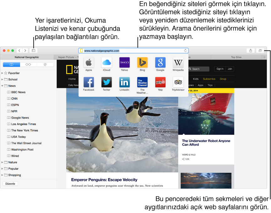 Örnek web sayfası ve Favoriler simgelerinin adres ve arama alanının altındaki açılır listede gösterildiği bir Safari penceresi. Yer işaretlerini Okuma Listesi'ni veya Paylaşılan Bağlantılar kenar çubuğunu göstermek veya gizlemek için Kenar Çubuğu düğmesini tıklayın. Favori sitelerinize yönelik simgeleri görmek için bir web sayfasını görüntülerken adres ve arama alanını tıklayın. Siteyi görüntülemek için bir simgeyi tıklayın veya simgeleri yeniden düzenlemek için sürükleyin. Arama önerileri görmek için arama ve adres alanına yazmaya başlayın.