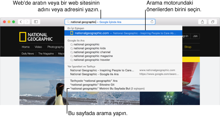 Safari adres ve arama alanı ve bunun altında arama sonuçları listesi