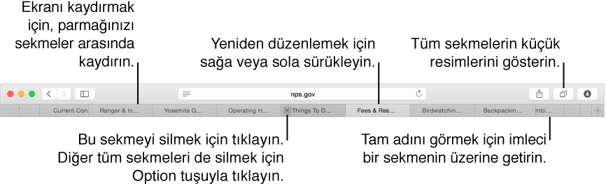 Sekmeler içeren Safari penceresi