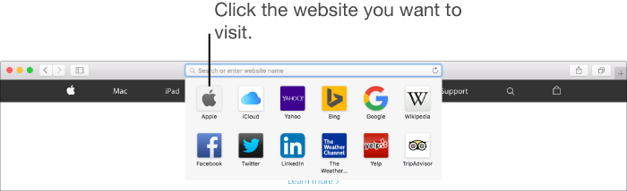 Safari address and search field, and below it the icons of favorite websites