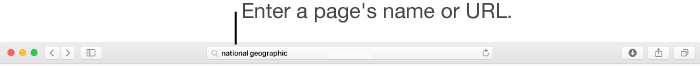 Safari Smart Search field, where you can enter a page's name or URL