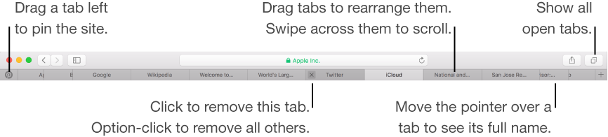 Safari window with tabs