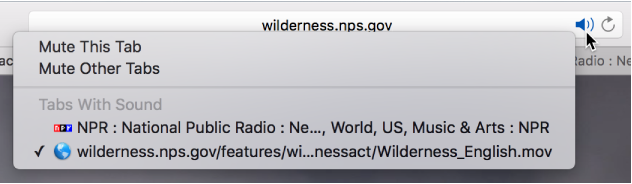List of websites playing audio