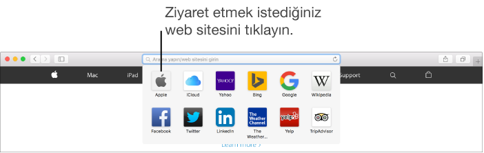 Safari adres ve arama alanı ve bunun altında, favori web sitelerinin simgeleri