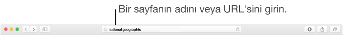 Sayfanın adı veya URL’sini girebileceğiniz Safari Akıllı Arama alanı