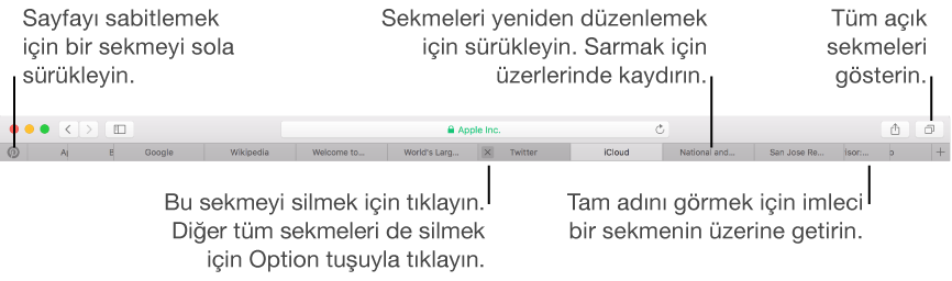 Sekmeler içeren Safari penceresi