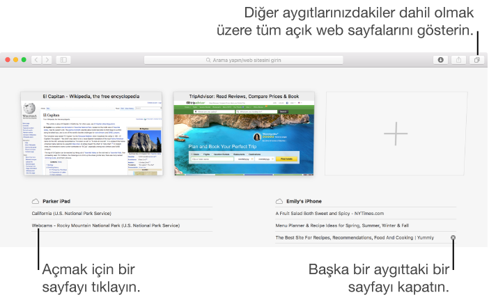 Diğer aygıtlarınızda açık olan web sayfaları dahil, açık tüm web sayfalarını gösteren Tüm Sekmeler görüntüsü