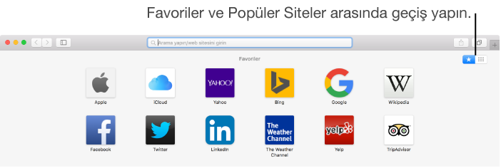 Küçük web sitesi resminin üzerindeki Sabitle ve Sil düğmeleri ile Popüler Siteler’i gösteren Safari penceresi